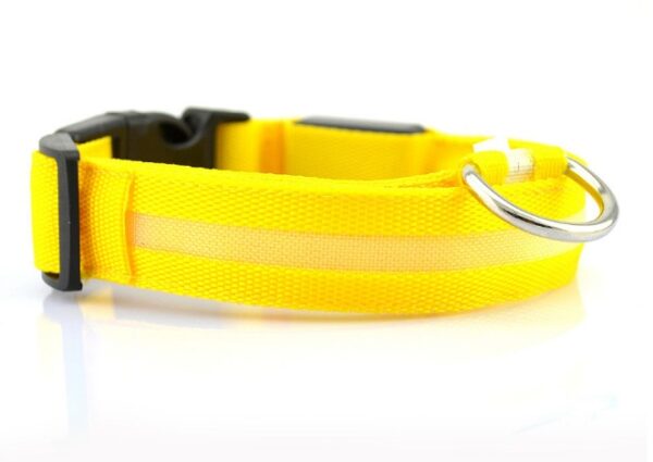 Safety Dog LED Collar - Image 5