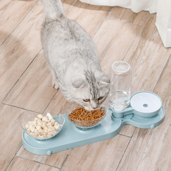 Double Bowl Automatic Pet Bowl Feeder Cat Waterer