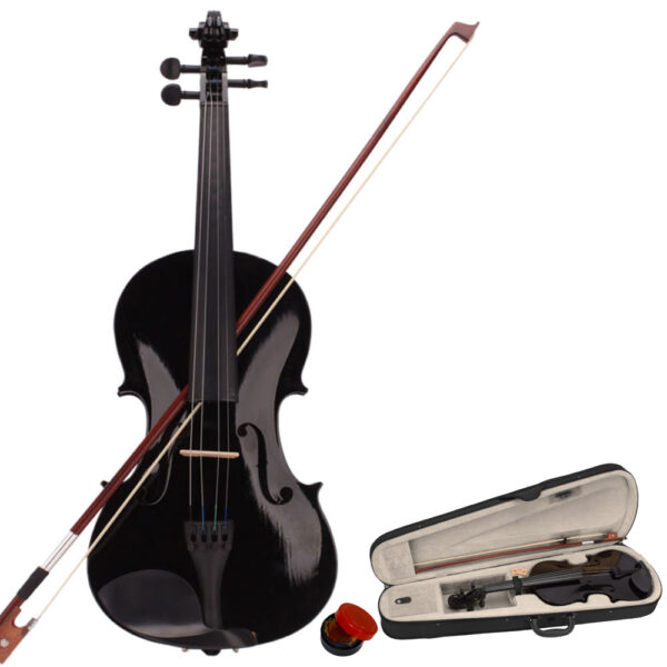 Black Acoustic Violin