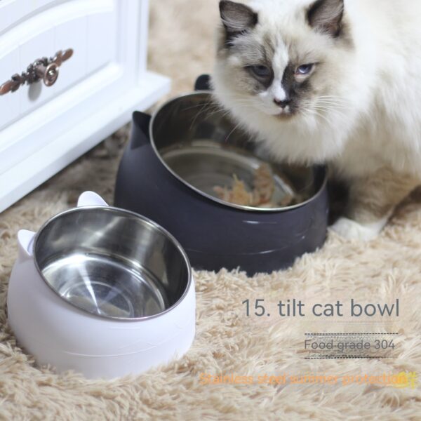 Stainless Steel Dog Bowl Double Bowl Cervical Protection Oblique Mouth Hot Pet Food Basin Supplies