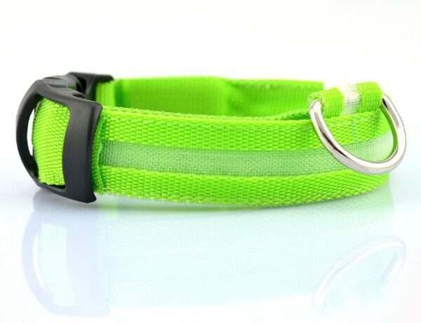 Safety Dog LED Collar - Image 3