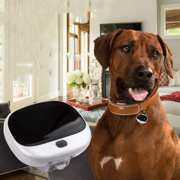 Mini Cat Anti-Loss Tracker Quickly Locate Pet Collar Portable Pet Collar With LED Light Waterproof Collar Smart Hound Locator