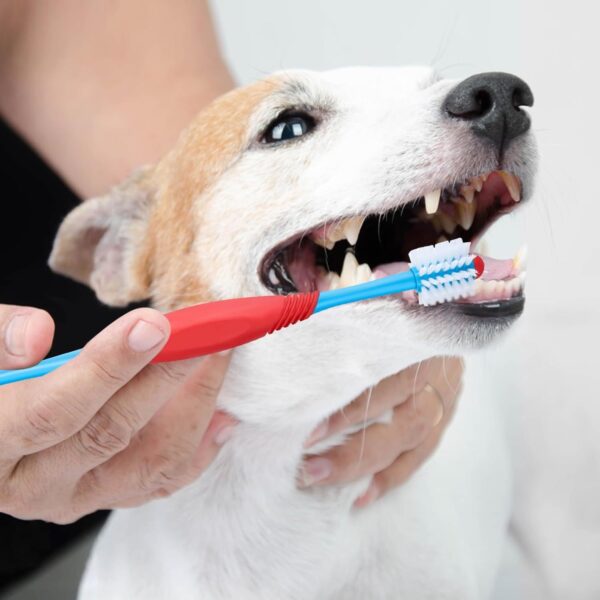 Dog Toothbrush 360 Degree Dog Tooth Brush, Dual Head Dog Tooth Brushing Kit Non Slip Toothbrush For Dogs And Cat Teeth Clean Pet Toothbrush Dental Care - Image 4