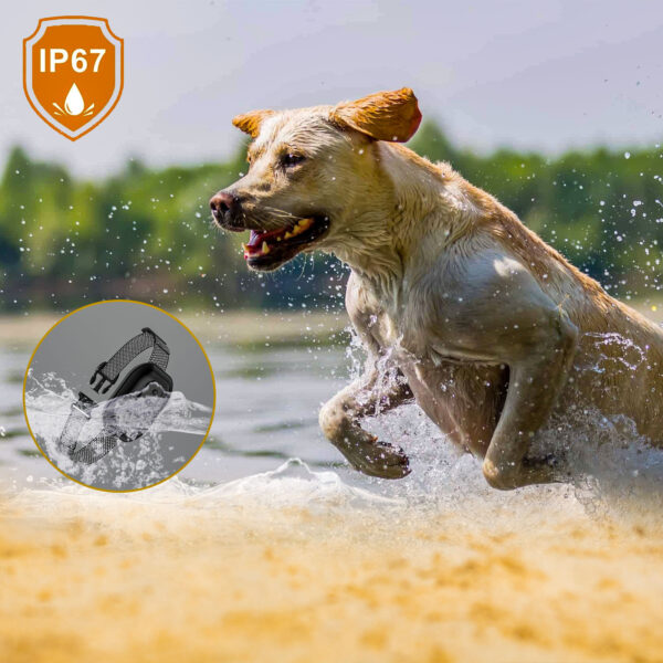 Intelligent Identification And Charging Waterproof Of Pet Barker