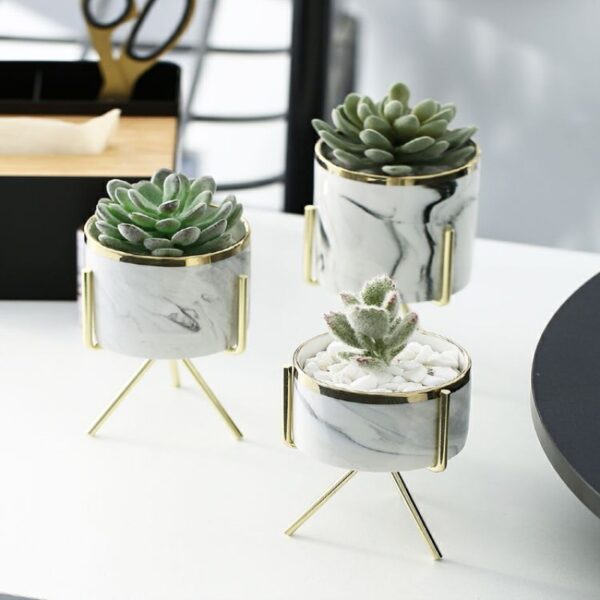 Succulent Ceramic Flowerpot Tabletop Iron Frame Decoration