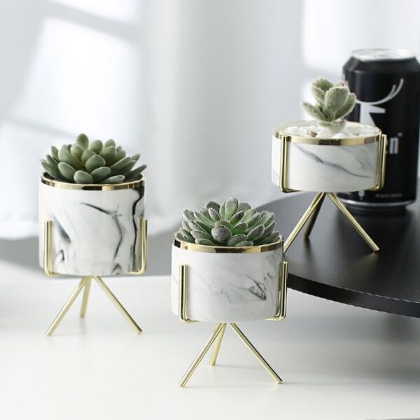 Succulent Ceramic Flowerpot Tabletop Iron Frame Decoration - Image 2