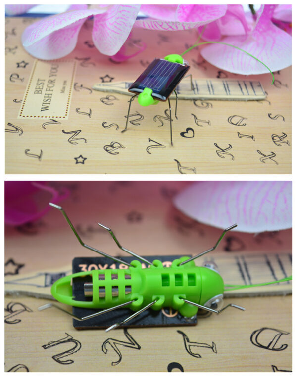 Solar Grasshopper Simulation Insect Toy - Image 6